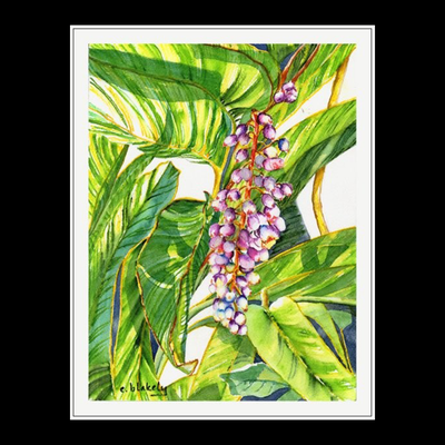 Ginger - Unframed Watercolor Print