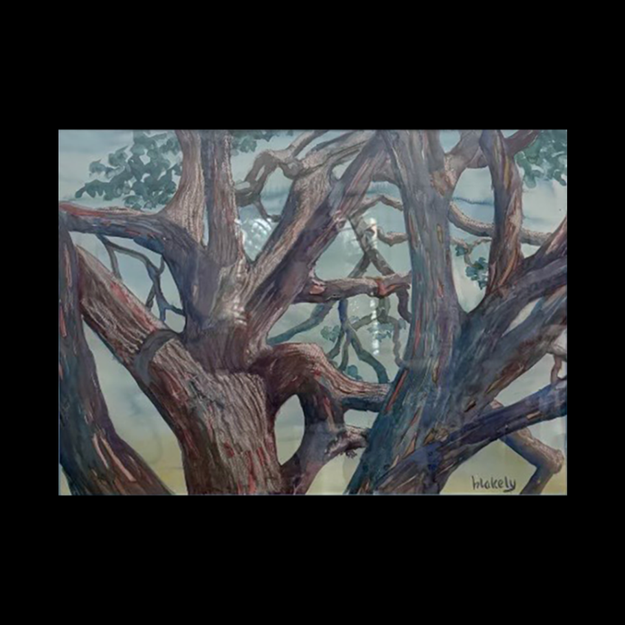 Hallet Park Oaks - Unframed Watercolor Print - SOLD
