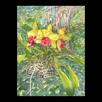 In The Orchid Tree - Unframed Print - SOLD