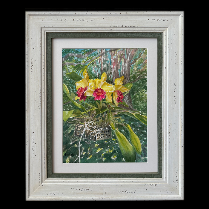 In The Orchid Tree - Framed Original Watercolor