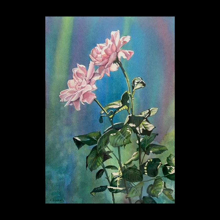 Pink Roses in Sunlight-Unframed Watercolor Print