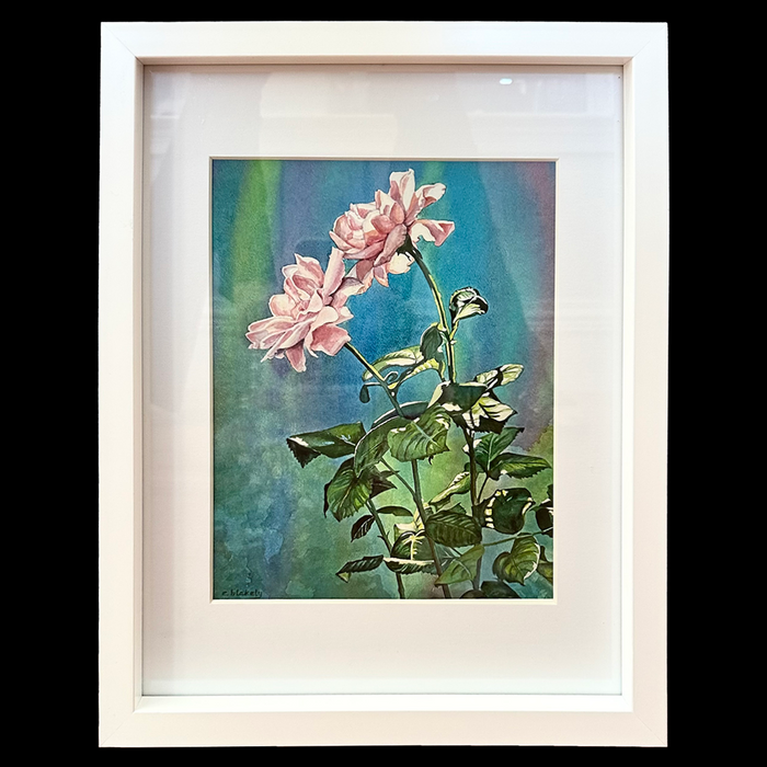 Pink Roses in Sunlight - Framed Print