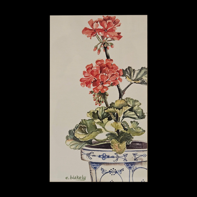 RED GERANIUMS IN BLUE AND WHITE POT - Matted Acrylic Print