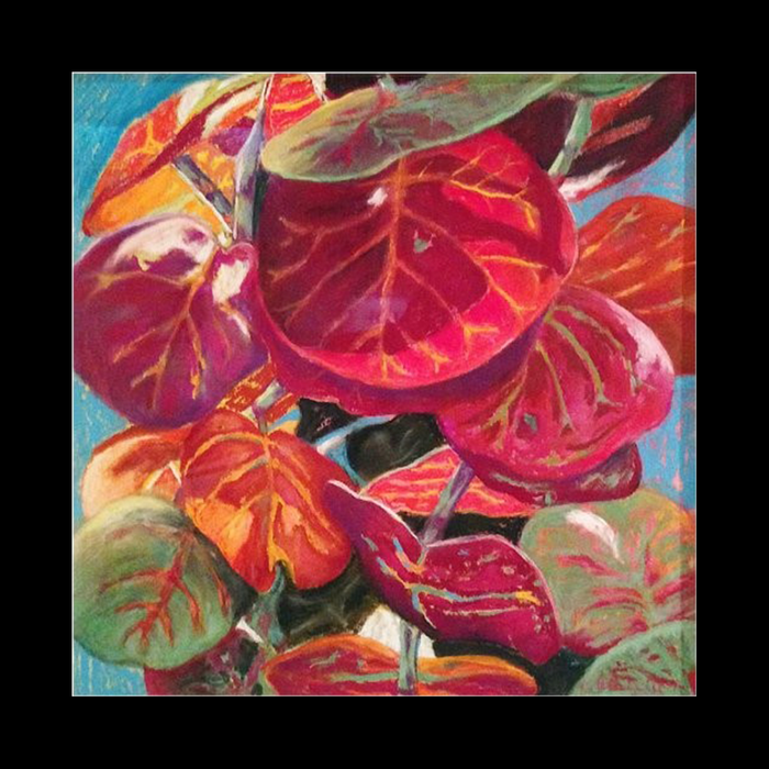 Red Seagrapes - Unframed Pastel Print