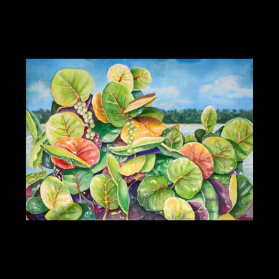 SEAGRAPES - Matted Watercolor Print