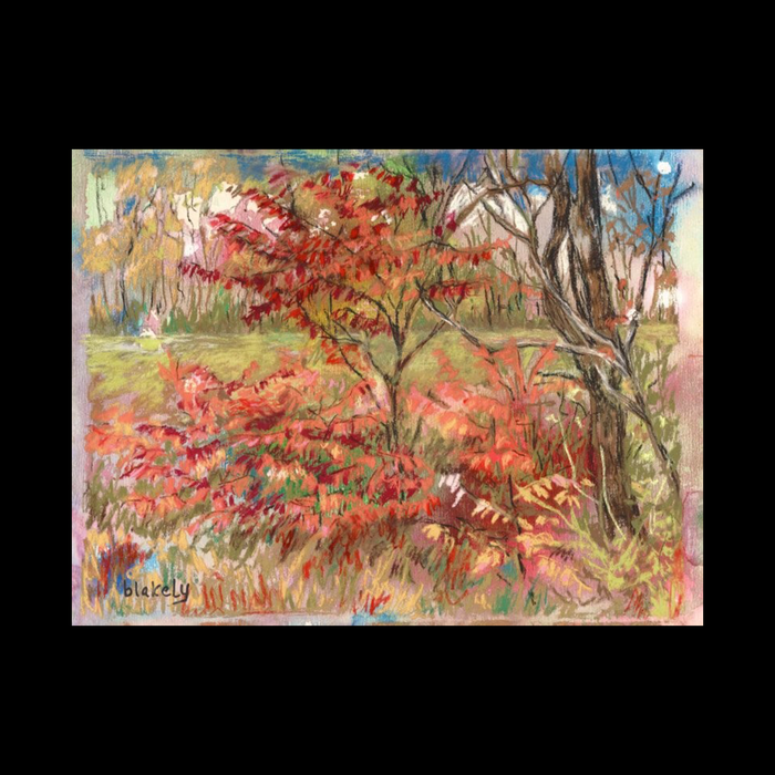 Sumac - Original Pastel - Sold