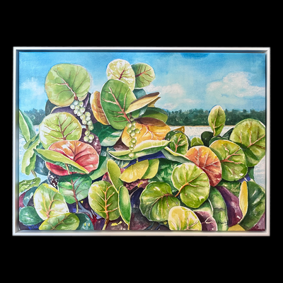 Seagrapes - Framed Print