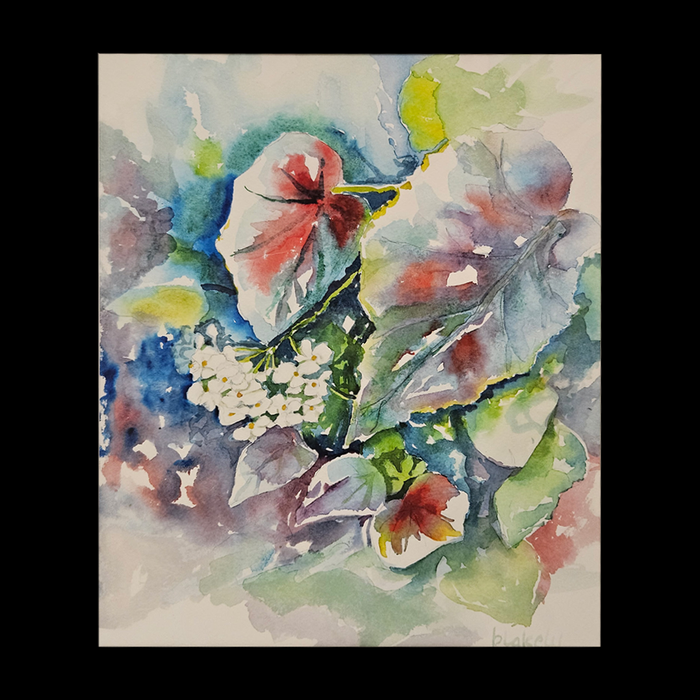 WHITE BEGONIA - Matted Watercolor Print