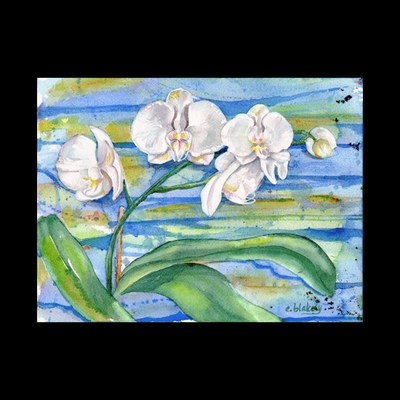 White Orchid - Unframed Print