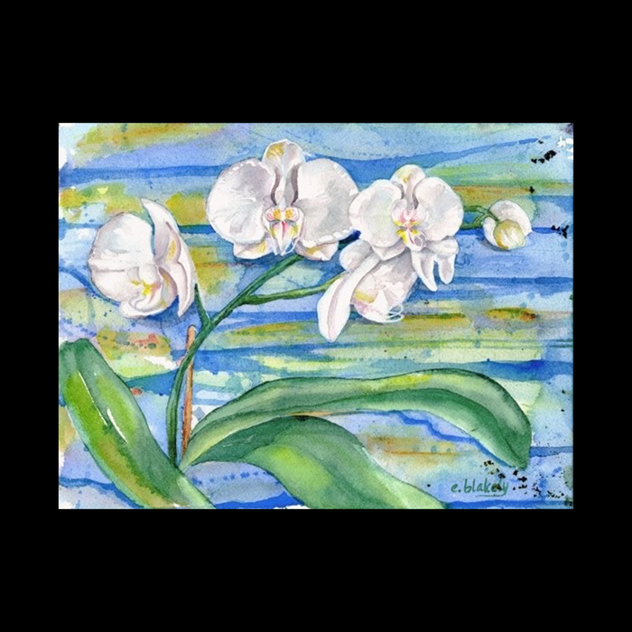 White Orchid - Unframed Print