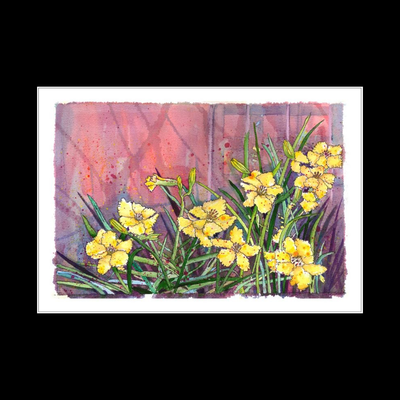Yellow Lillies - Unframed Watercolor Print